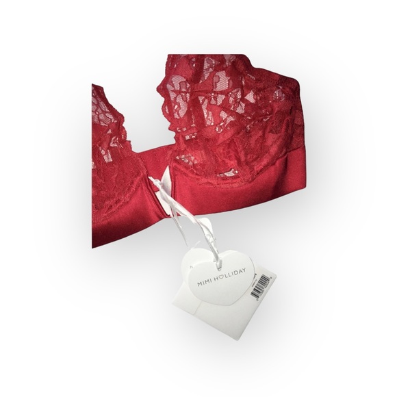 new Mimi Holliday โค๏ธ๏ธ Poison Ivy Deep V Plunge โค๏ธ๏ธ Heart Lace Bra โค๏ธ๏ธ Scarlet - Picture 8 of 16